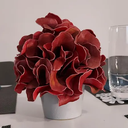 Adora * 斯普利特